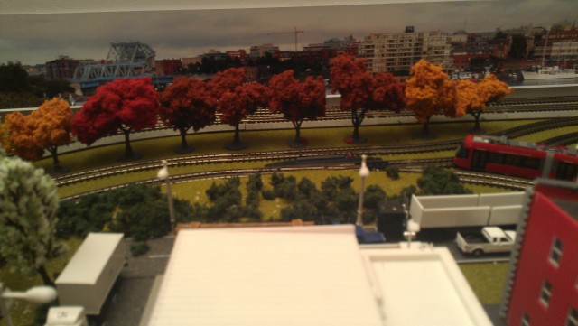 IMAG0080.jpg