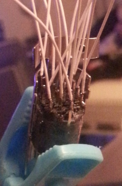 20130717_002401-1.jpg